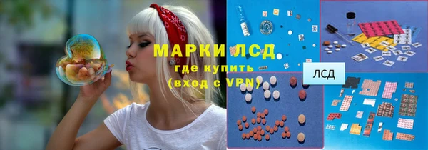 ПСИЛОЦИБИНОВЫЕ ГРИБЫ Дмитров