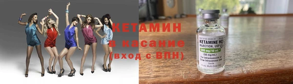 индика Гусь-Хрустальный