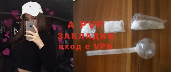 ПСИЛОЦИБИНОВЫЕ ГРИБЫ Дмитров