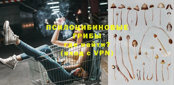 ПСИЛОЦИБИНОВЫЕ ГРИБЫ Дмитров