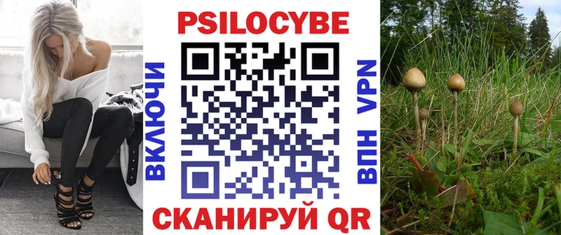 Псилоцибиновые грибы GOLDEN TEACHER  Чебоксары 